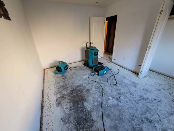 Best Basement water damage restoration  in Green Island, NY