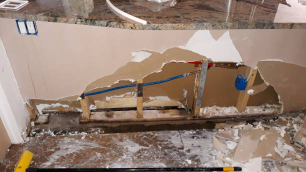 Best Fire Damage Restoration  in Green Island, NY